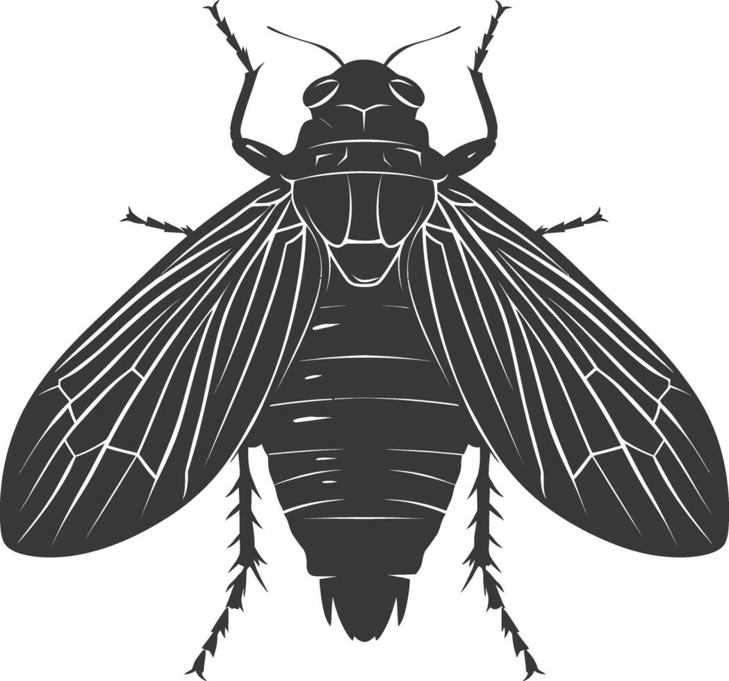 ai generiert Silhouette Zikade Insekt Tier schwarz Farbe nur vektor