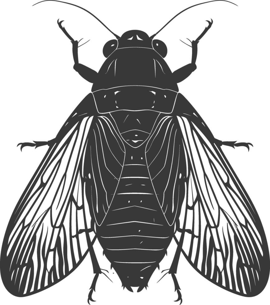 ai generiert Silhouette Zikade Insekt Tier schwarz Farbe nur vektor
