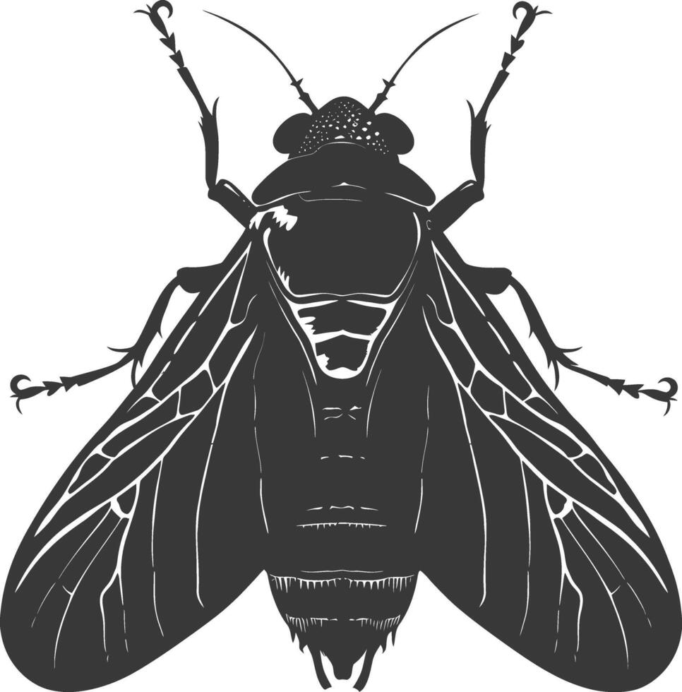 ai genererad silhuett cikada insekt djur- svart Färg endast vektor