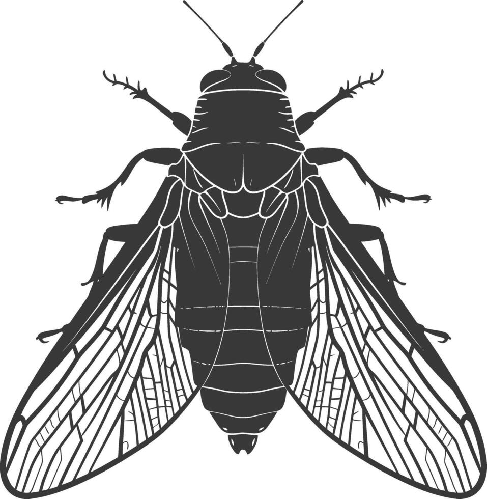 ai genererad silhuett cikada insekt djur- svart Färg endast vektor