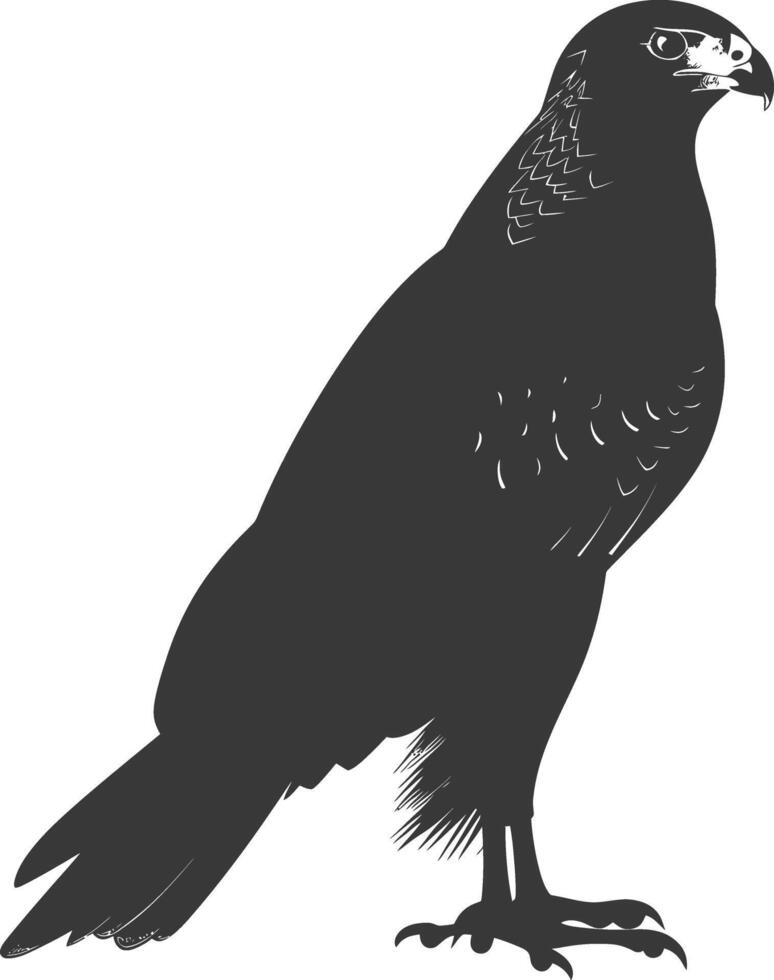 ai generiert Silhouette Falke Tier fliegen schwarz Farbe nur voll Körper vektor