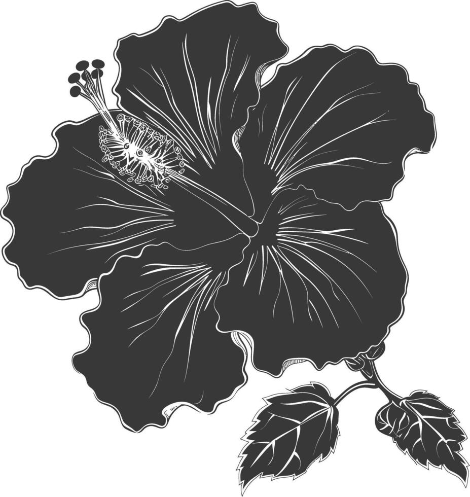 ai generiert Silhouette Hibiskus Blume schwarz Farbe nur vektor