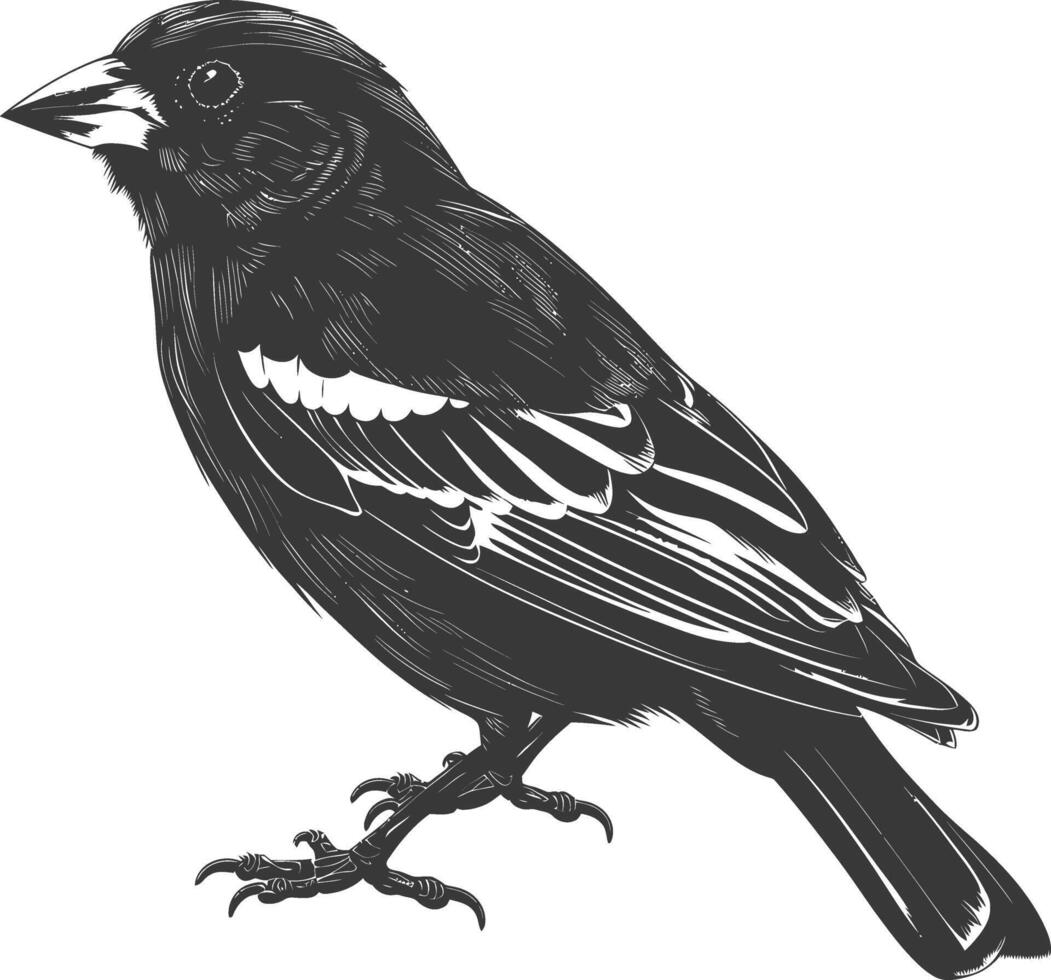 ai generiert Silhouette Haus Spatz Vogel Tier schwarz Farbe nur vektor