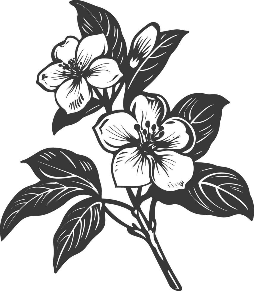 ai generiert Silhouette Jasmin Blume schwarz Farbe nur vektor