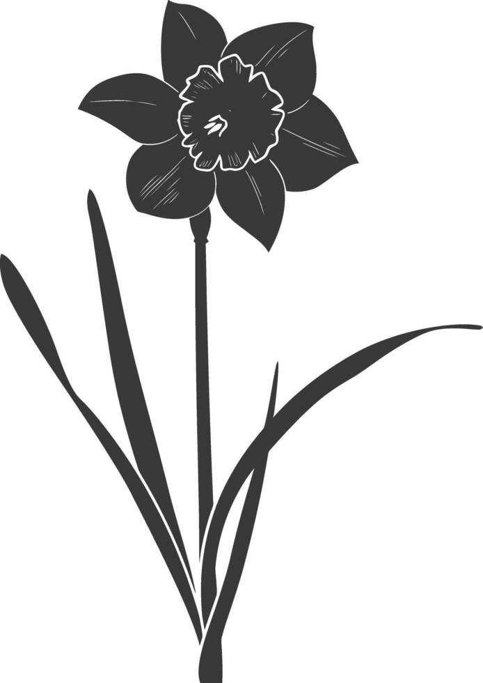 ai generiert Silhouette Narzisse Blume schwarz Farbe nur vektor