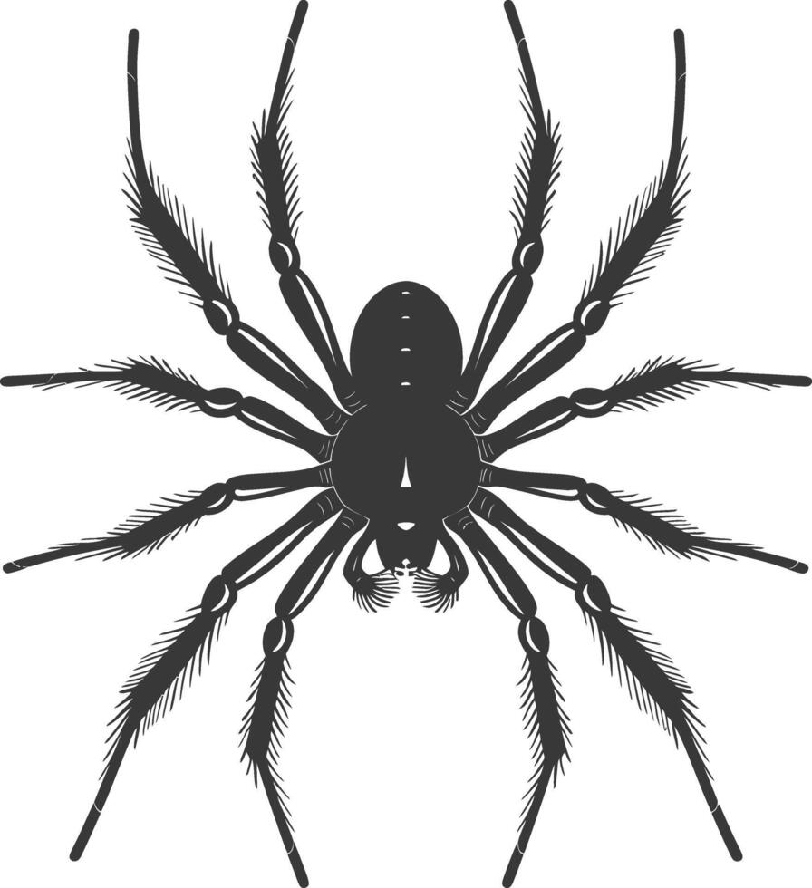 ai genererad silhuett Spindel djur- svart Färg endast vektor