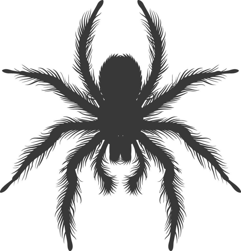 ai generiert Silhouette Spinne Tier schwarz Farbe nur vektor