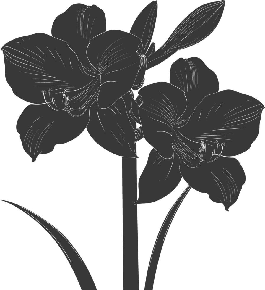 ai generiert Silhouette Amaryllis Blume schwarz Farbe nur vektor