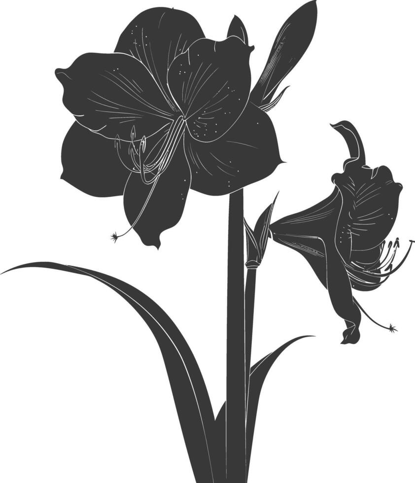 ai generiert Silhouette Amaryllis Blume schwarz Farbe nur vektor