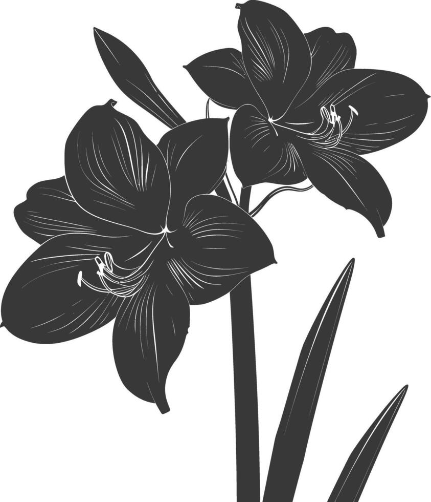 ai genererad silhuett amaryllis blomma svart Färg endast vektor