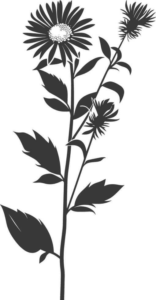 ai generiert Silhouette Aster Blume schwarz Farbe nur vektor