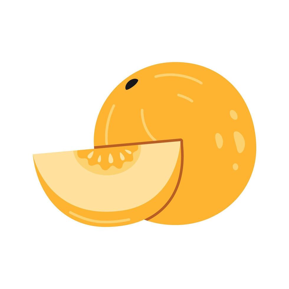 mogen runda melon med en skära bit, tecknad serie stil. vektor illustration isolerat på vit bakgrund, hand ritade, platt design