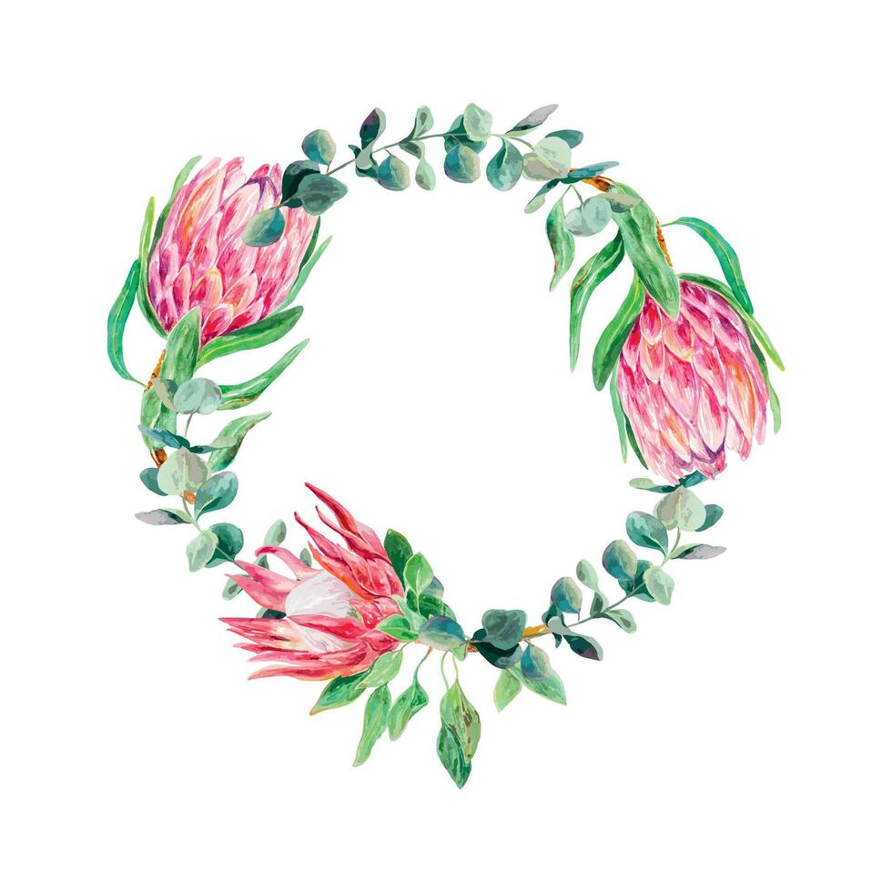 Protea Aquarell Kranz. Vektor Illustration von ein Strauß von Rosa Blumen. Design Element zum Karten, Hochzeit Einladungen, Banner, Abdeckungen, Etiketten.