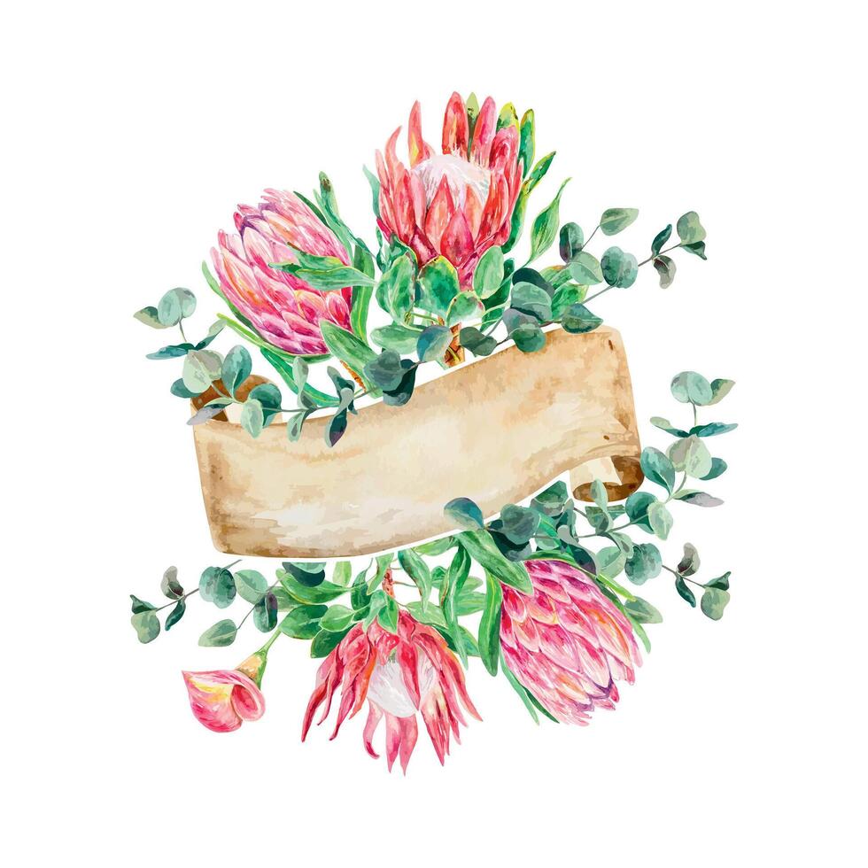 protea vattenfärg, eukalyptus gren, baner för text. vektor illustration av rosa blommor. design element för kort, bröllop inbjudningar, banderoller, täcker, etiketter, flygblad.