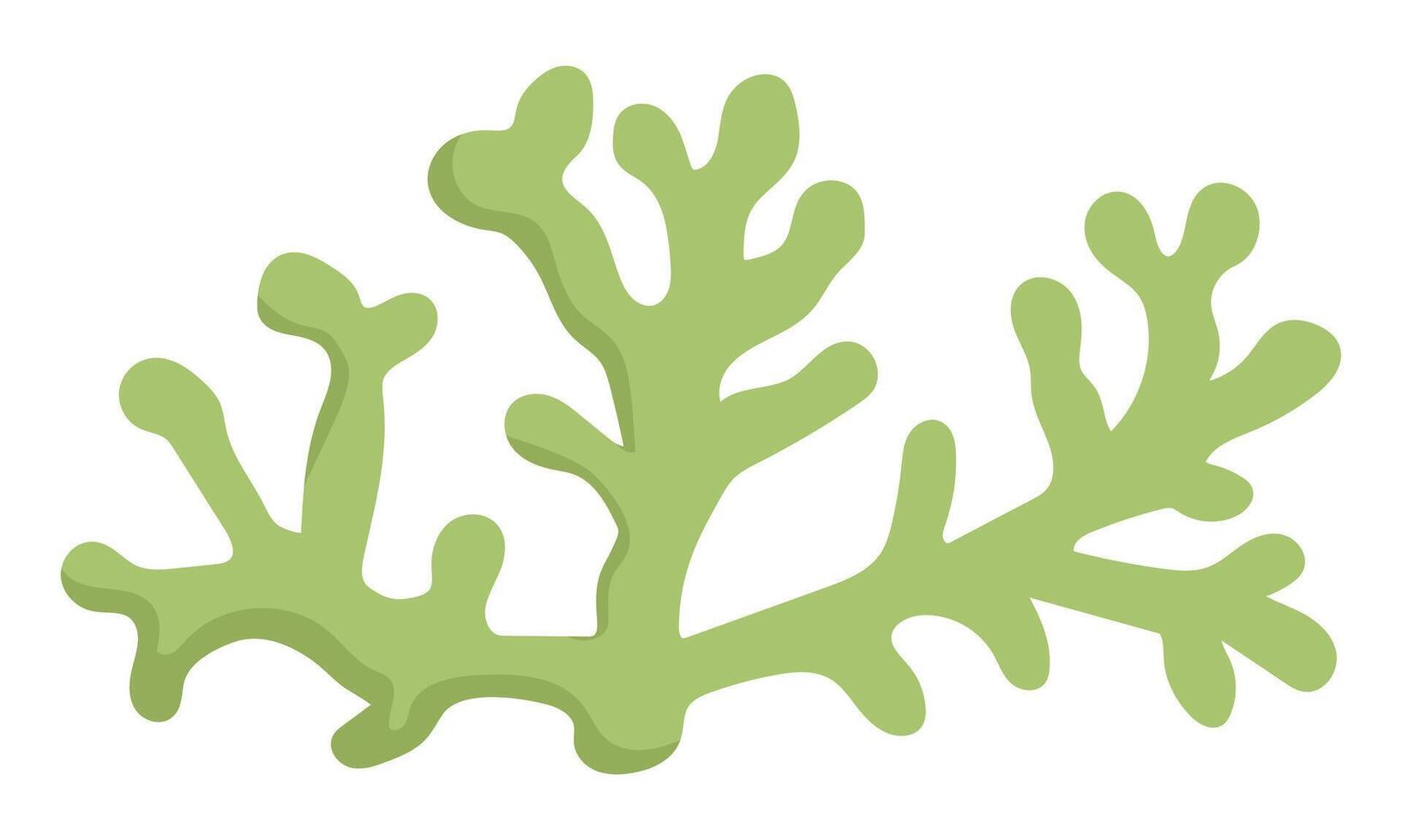 Vektor Grün Koralle Symbol. unter das Meer Illustration mit süß Algen. Ozean Pflanze Clip Art. Karikatur unter Wasser oder Marine Clip Kunst zum Kinder isoliert auf Weiß Hintergrund
