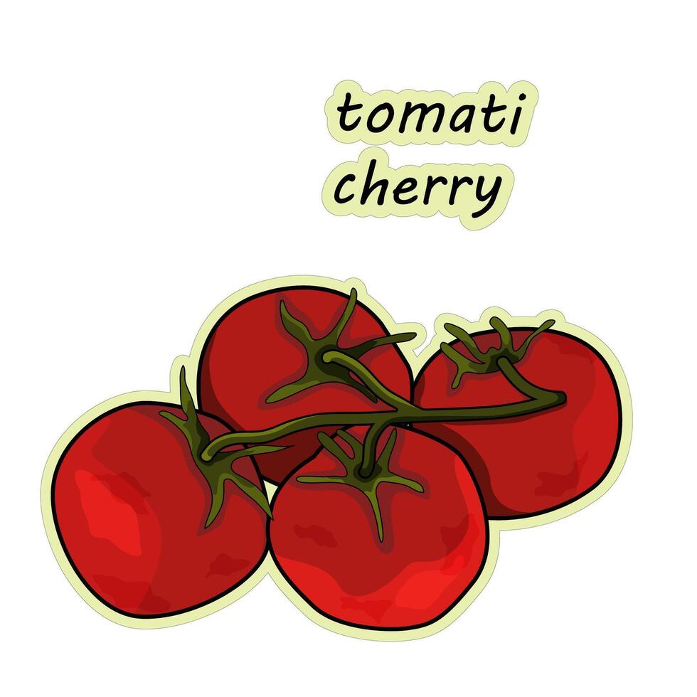 Kirsche Tomate. Gemüse. Hand gezeichnet Kirsche Tomate Aufkleber, Vektor Illustration im Gekritzel Stil.