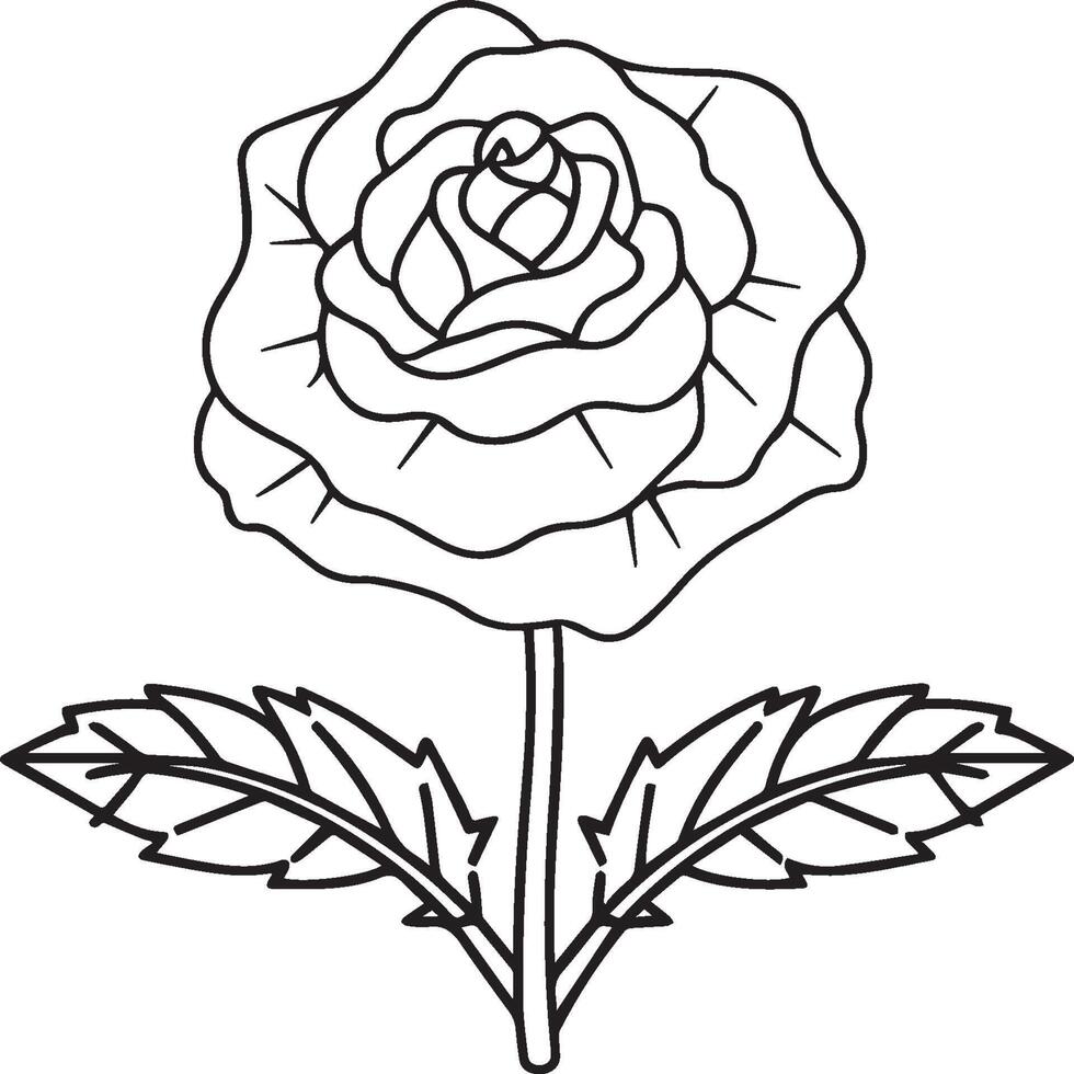 Rose Färbung Seiten. Rose Blume Gliederung Vektor