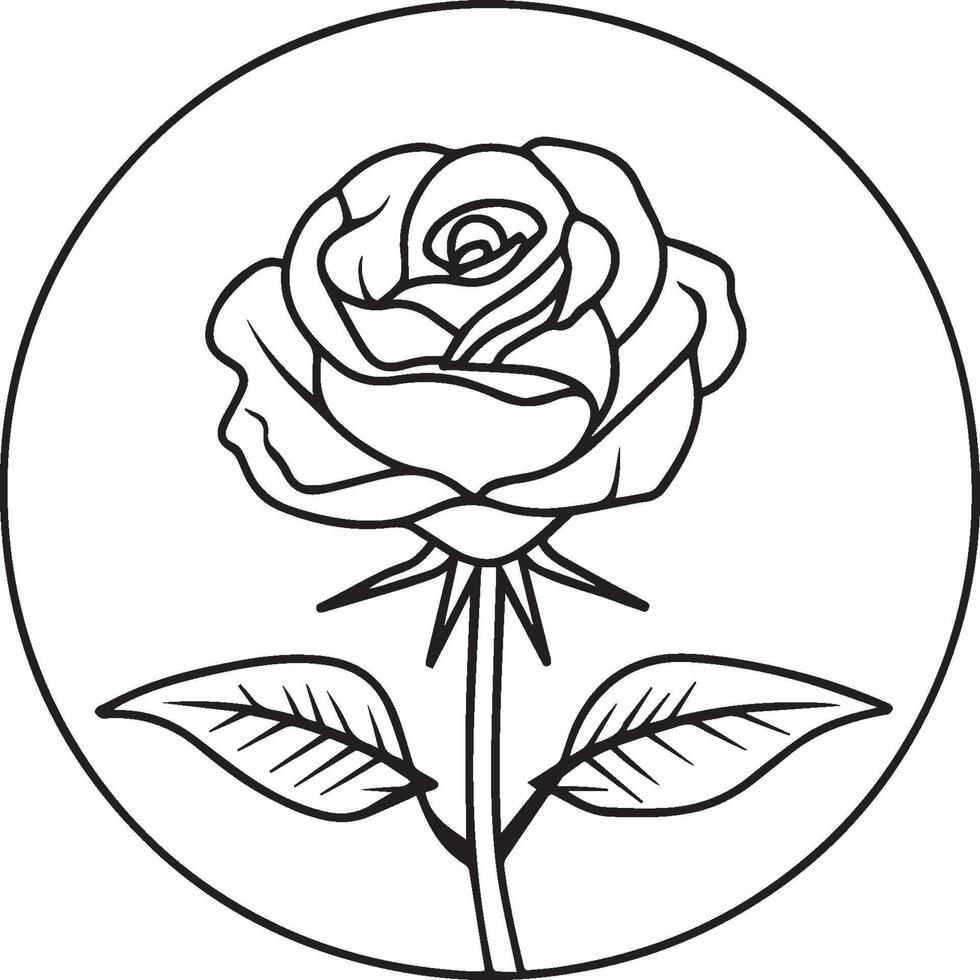 Rose Färbung Seiten. Rose Blume Gliederung Vektor