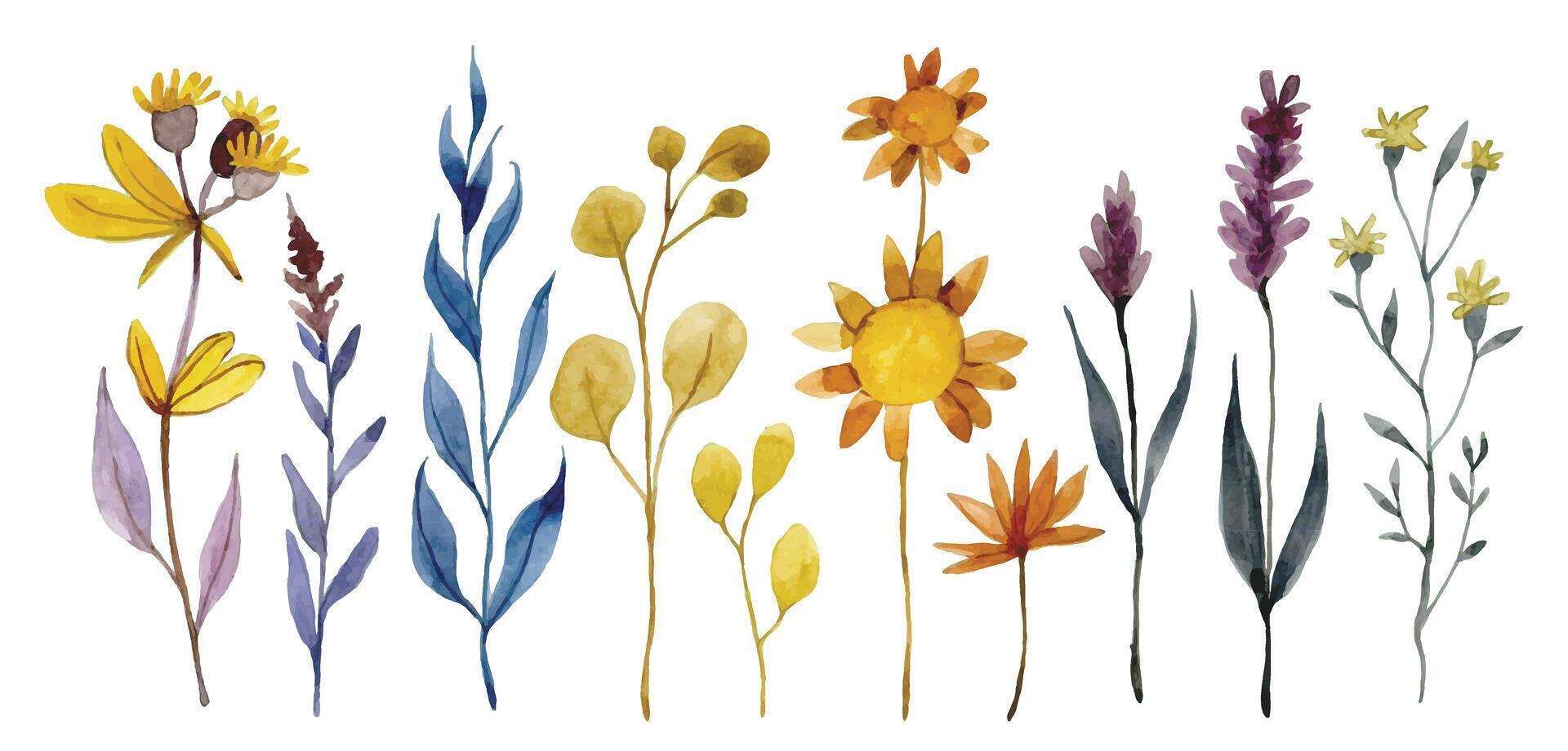 Aquarell Zeichnung, einstellen von trocken Wildblumen, Kräuter und Blätter. Herbst Herbarium, Boho vektor