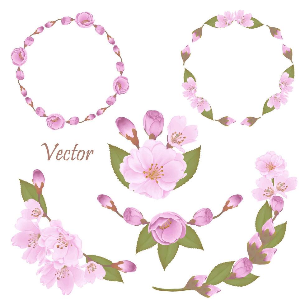 handgemalt Rosa Kirsche Blüten - - Japan inspiriert Blumen vektor