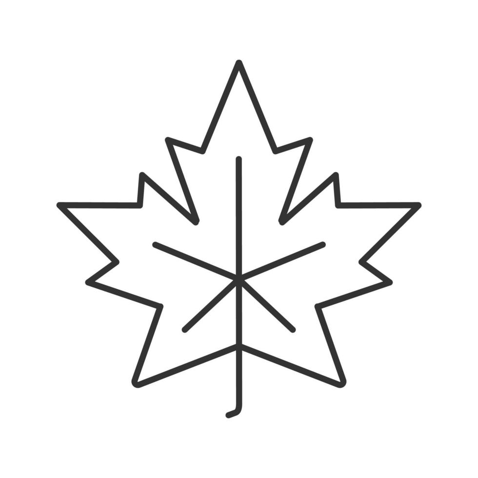 Ahornblatt lineares Symbol. Kanada Symbol Kontursymbol. Herbstattribut dünne Linie Abbildung. Vektor isolierte Umrisszeichnung