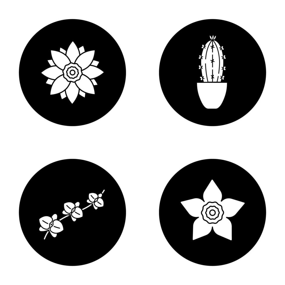 blommor glyf ikoner set. lotus, påsklilja, orkidé, gren, kaktus i blomkruka. vektor vita silhuetter illustrationer i svarta cirklar