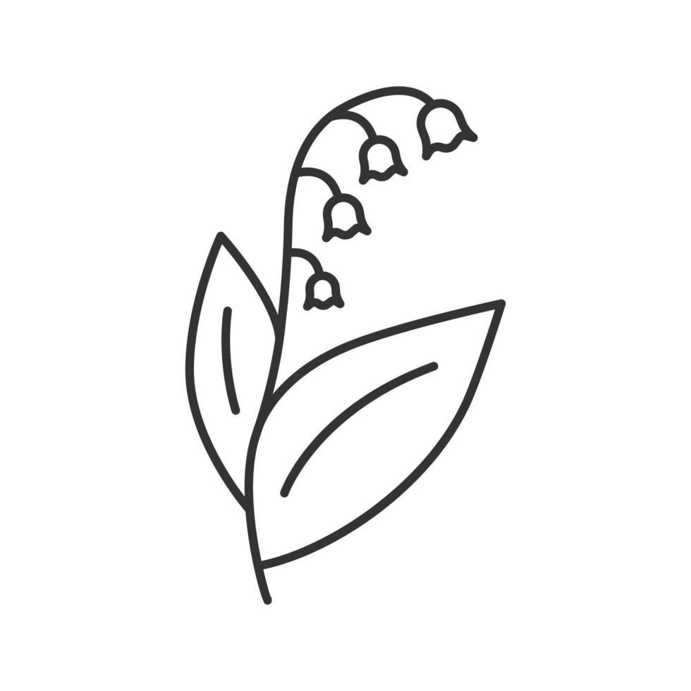 liljekonvalj, maj-lilja linjär ikon. trädgård vårblomma tunn linje illustration. kontur symbol. blommande växt. vektor isolerade konturritning