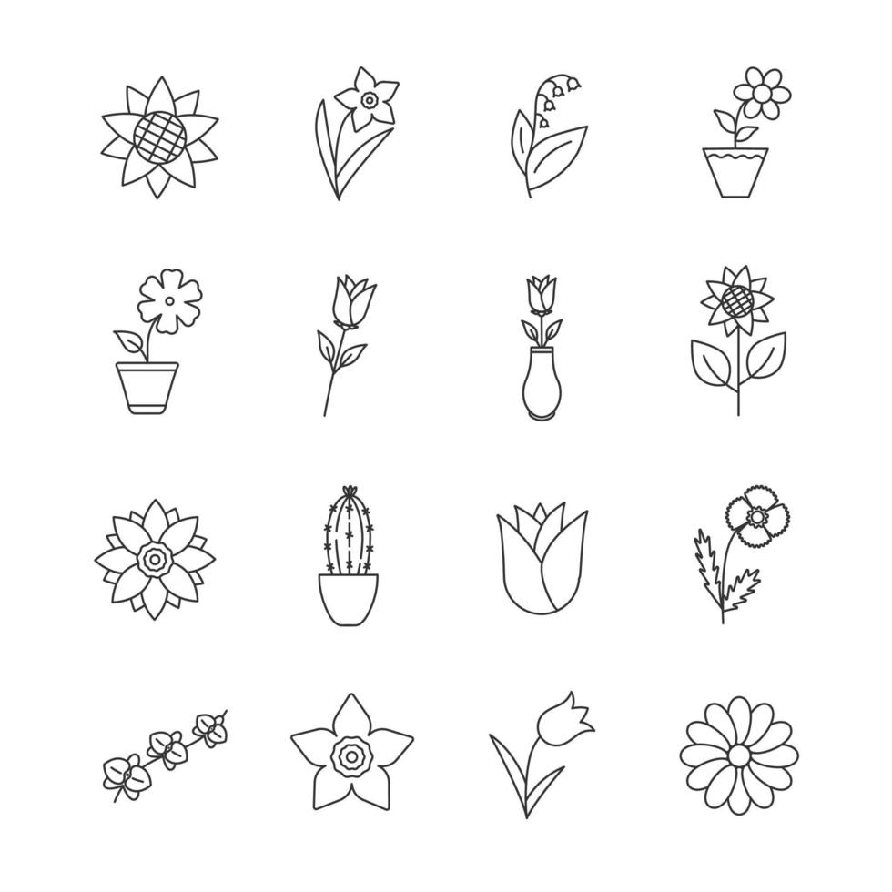 blommor linjära ikoner set. trädgård, vilda, krukväxter. blommande dekorativa blommor. rosor, solrosor, maj-lilja, påskliljor, tulpan. tunn linje kontursymboler. isolerade vektor kontur illustrationer