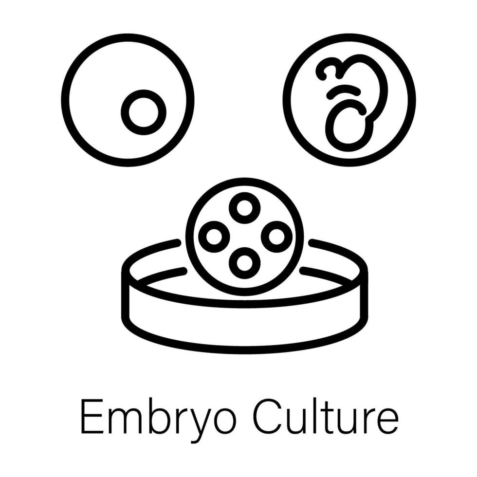 modisch Embryo Kultur vektor