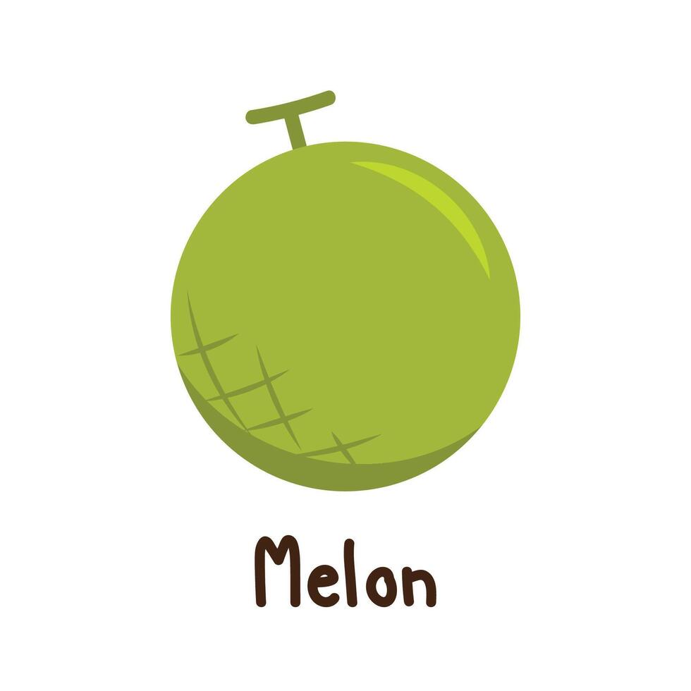 melon vektor. melon på vit bakgrund. tapet. logotyp design. vektor