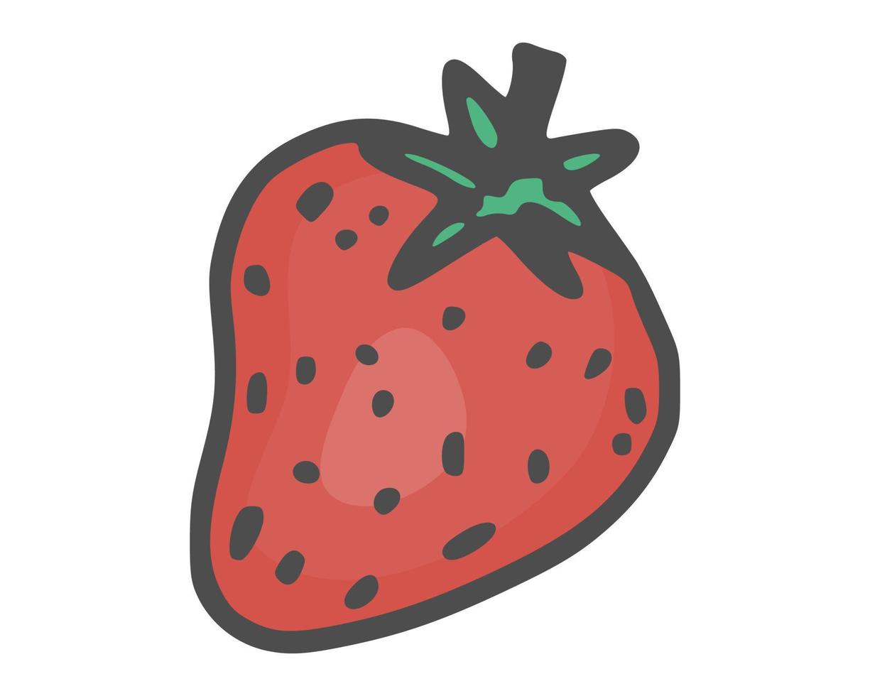 einfache Zeichnung Erdbeerbeere heller neuer Vektor