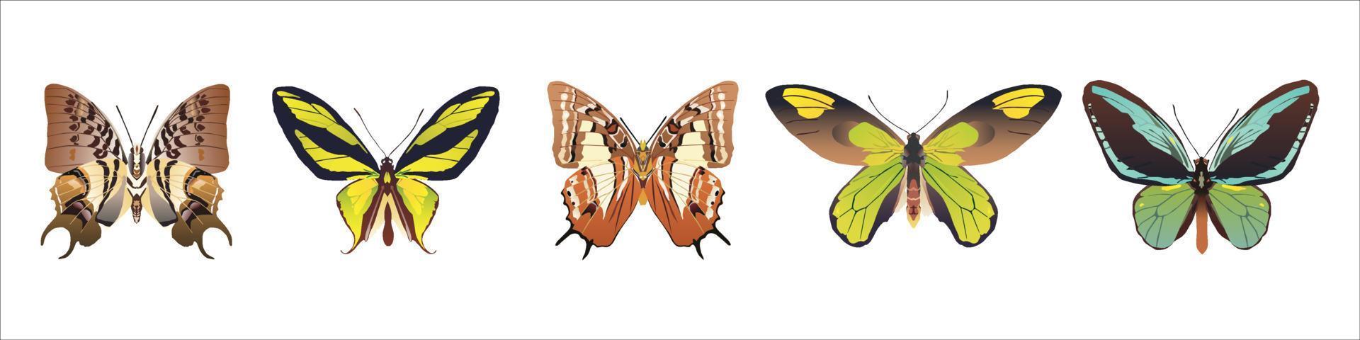 Logo Schmetterlinge Vektor