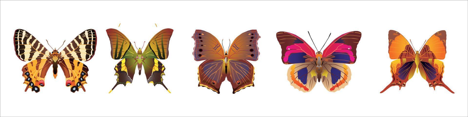 uppsättning av söta tecknade fjärilar vektor
