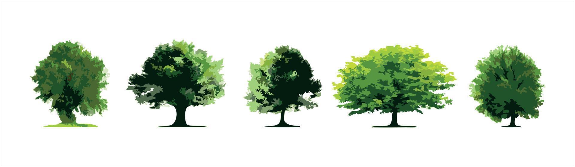 Reihe von Bäumen auf weißem Hintergrund. vektor
