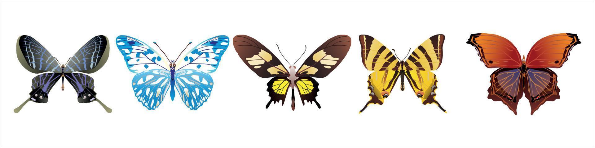 Reihe von niedlichen Cartoon-Schmetterlingen Vektor