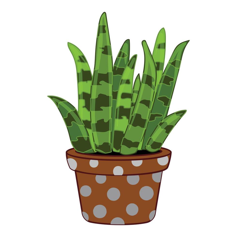 saftig gestreift Pflanze Symbol Karikatur Vektor. Zimmerpflanze auf Fenster vektor