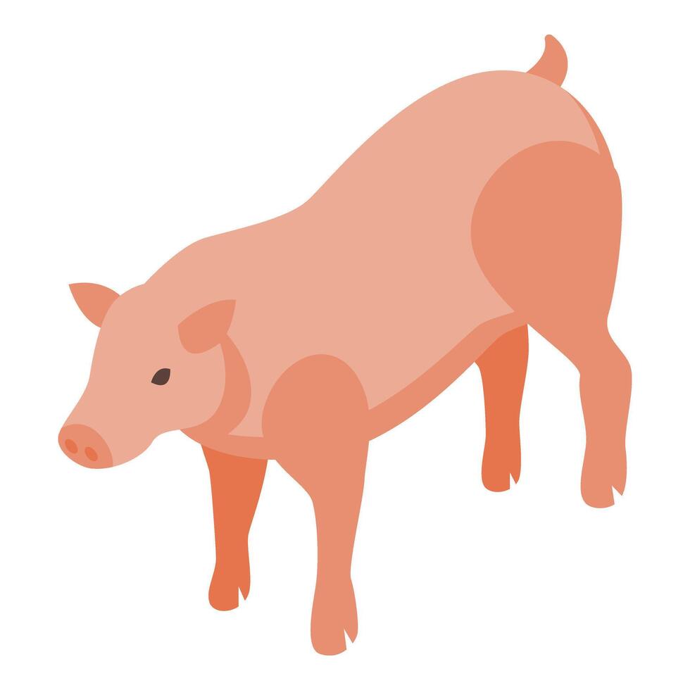 komisch Schwein Tier Symbol isometrisch Vektor. Bauernhof Natur Landwirtschaft vektor