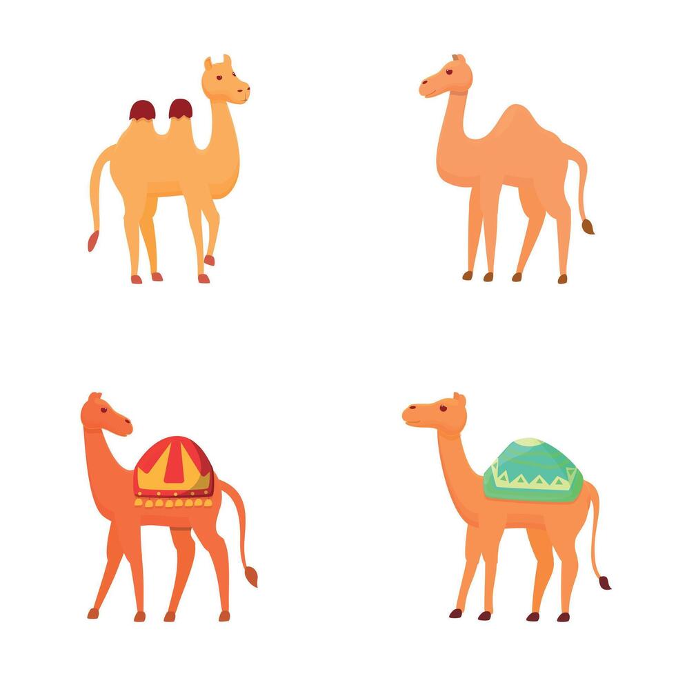 tecknad serie kamel ikoner uppsättning tecknad serie vektor. annorlunda typ av kamel med sadelmakeri vektor