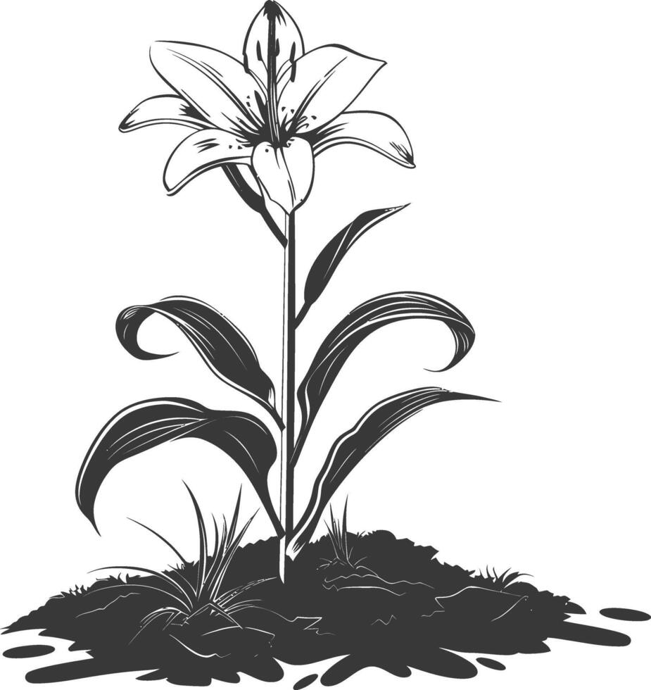 ai genererad silhuett lilja blomma i de jord svart Färg endast vektor