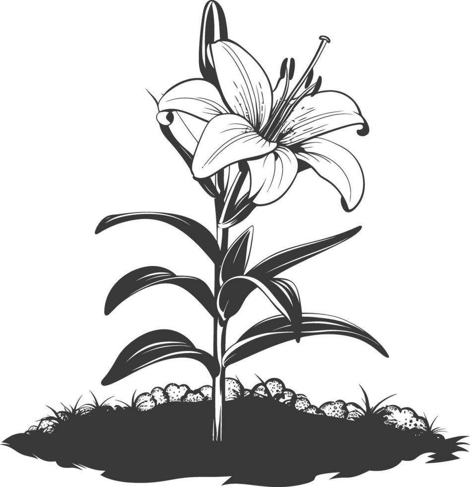 ai generiert Silhouette Lilie Blume im das Boden schwarz Farbe nur vektor