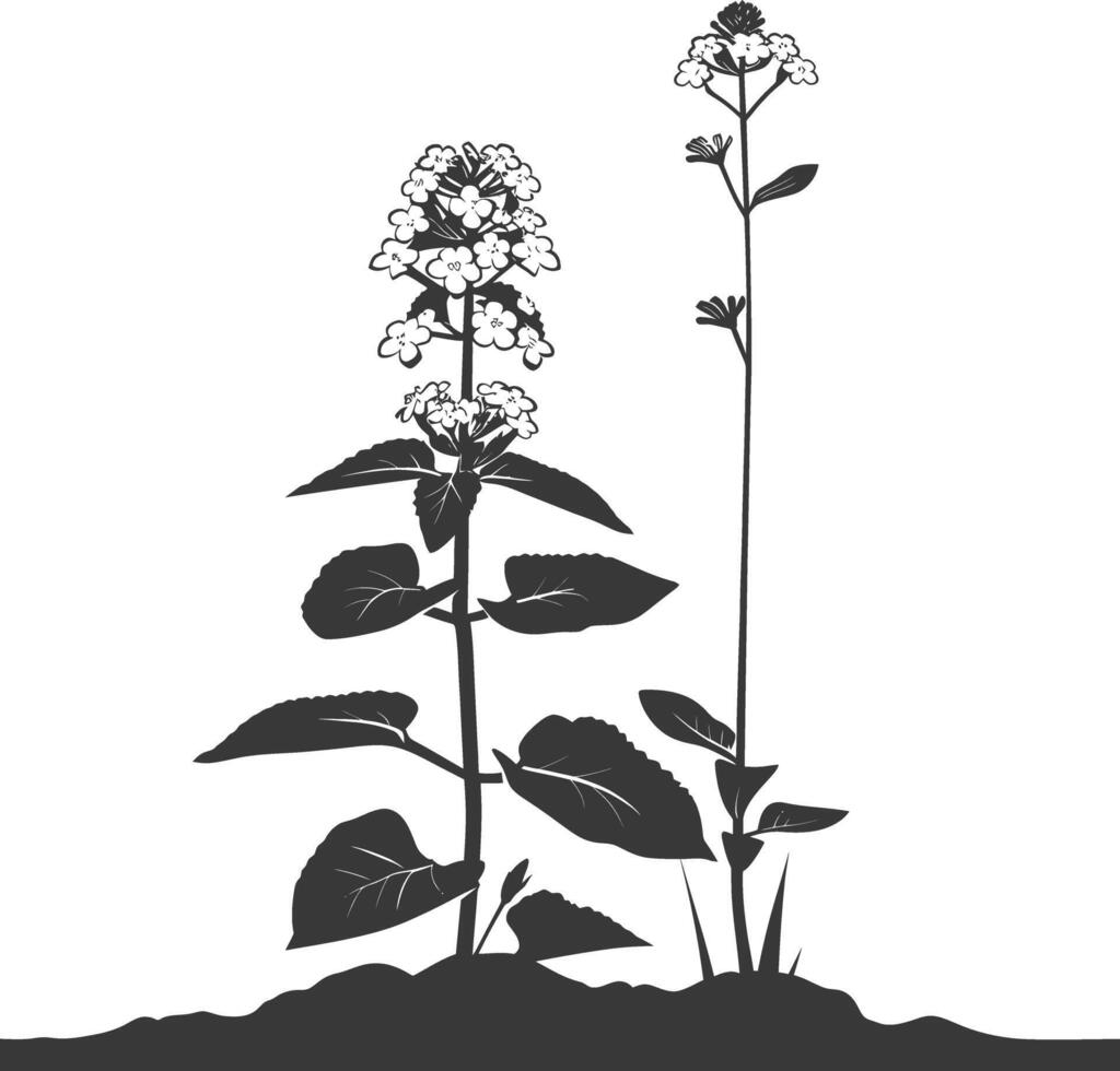 ai generiert Silhouette Lantana Blume im das Boden schwarz Farbe nur vektor