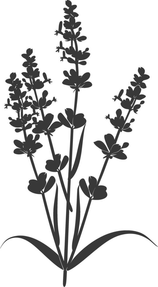 ai generiert Silhouette Lavendel Blume schwarz Farbe nur vektor