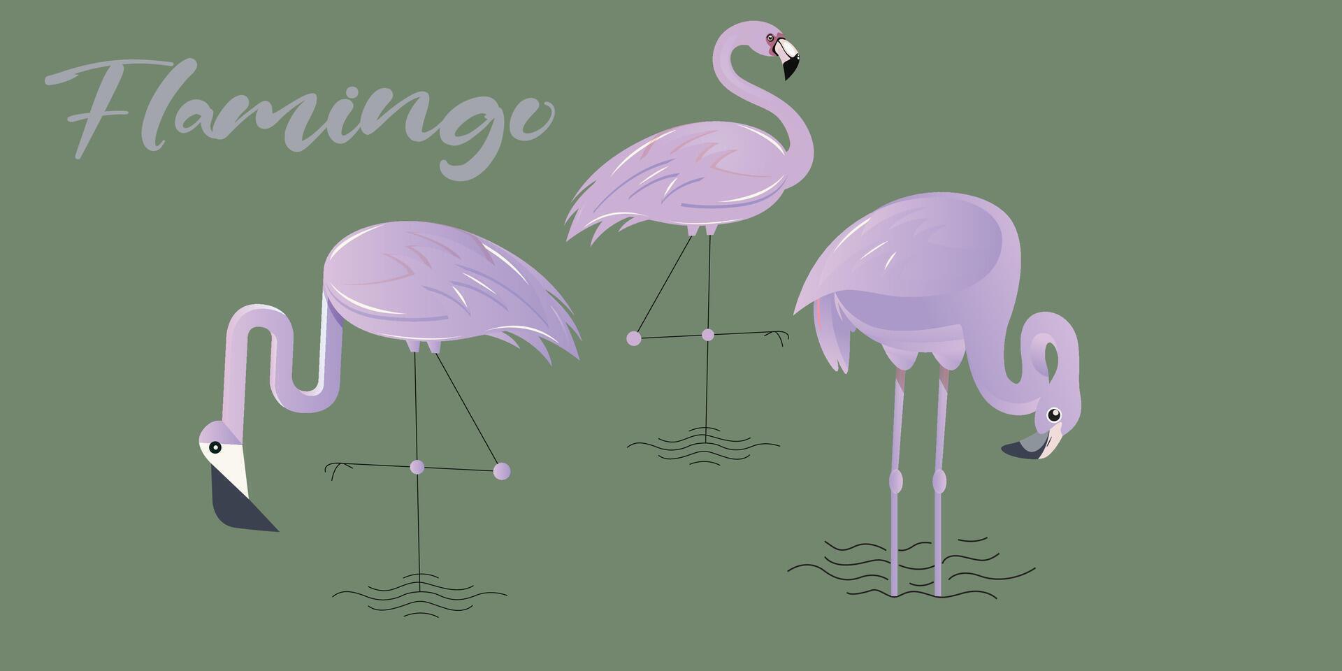 vektor illustration av lila flamingo avkopplande, dricka och vilar. isolerat på grön bakgrund.