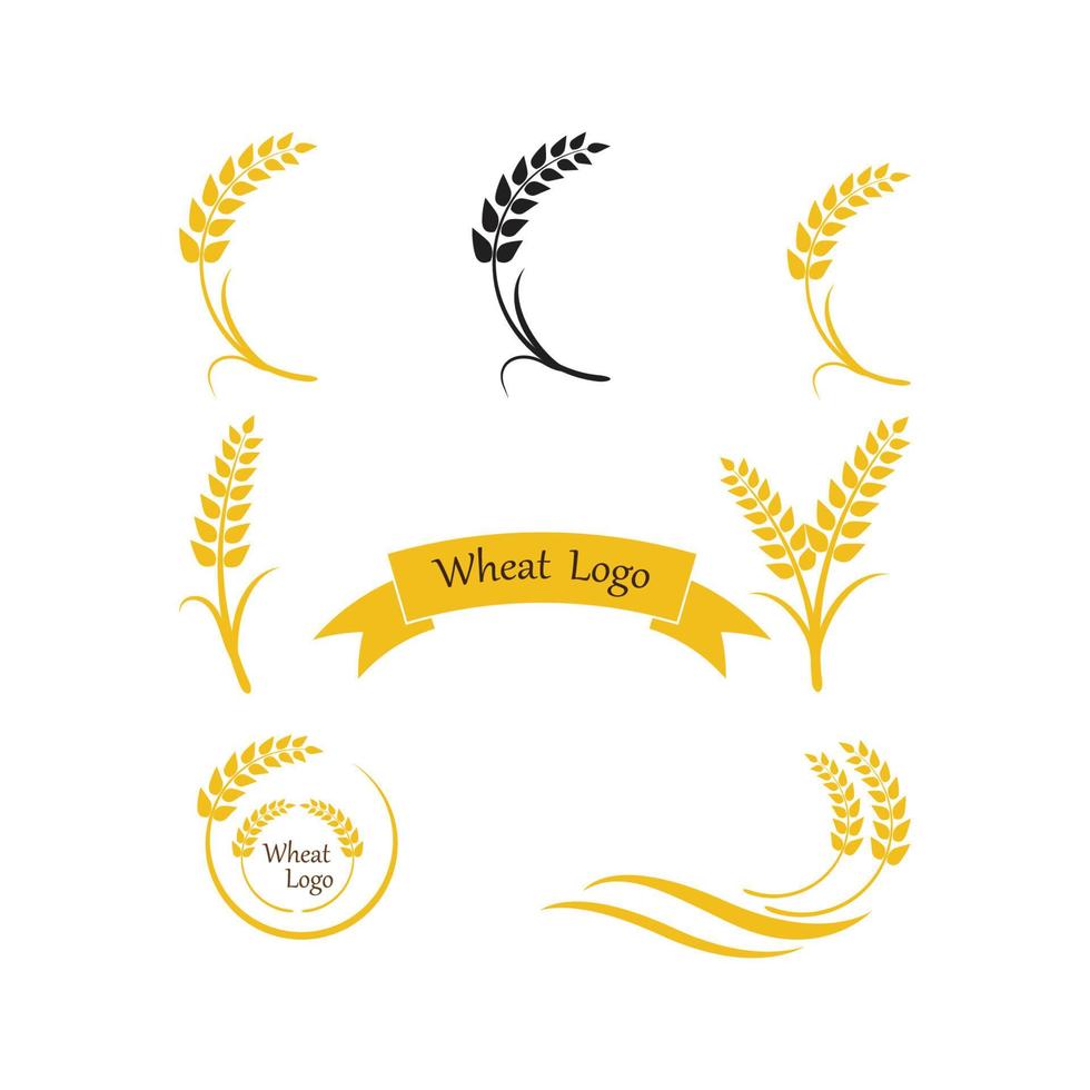 Landwirtschaft Weizen Logo Vorlage Vektor Icon Design