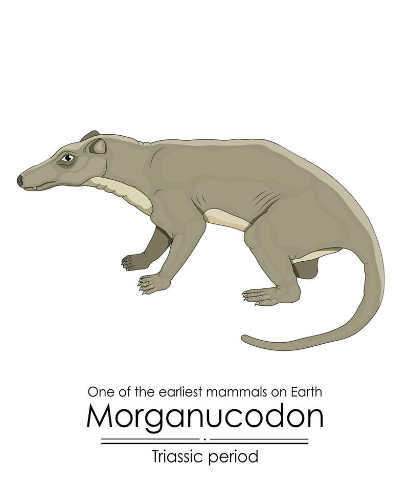 Morganucodon, einer von das früheste Säugetiere vektor