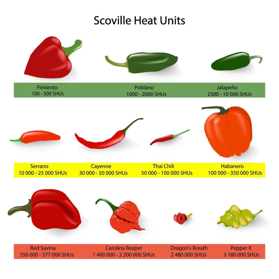 scoville skala av chili paprikor kryddighet, vektor