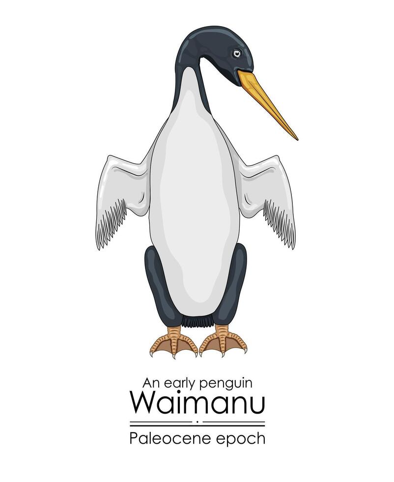 Waimanu, ein früh Pinguin von das Paläozän Epoche. vektor