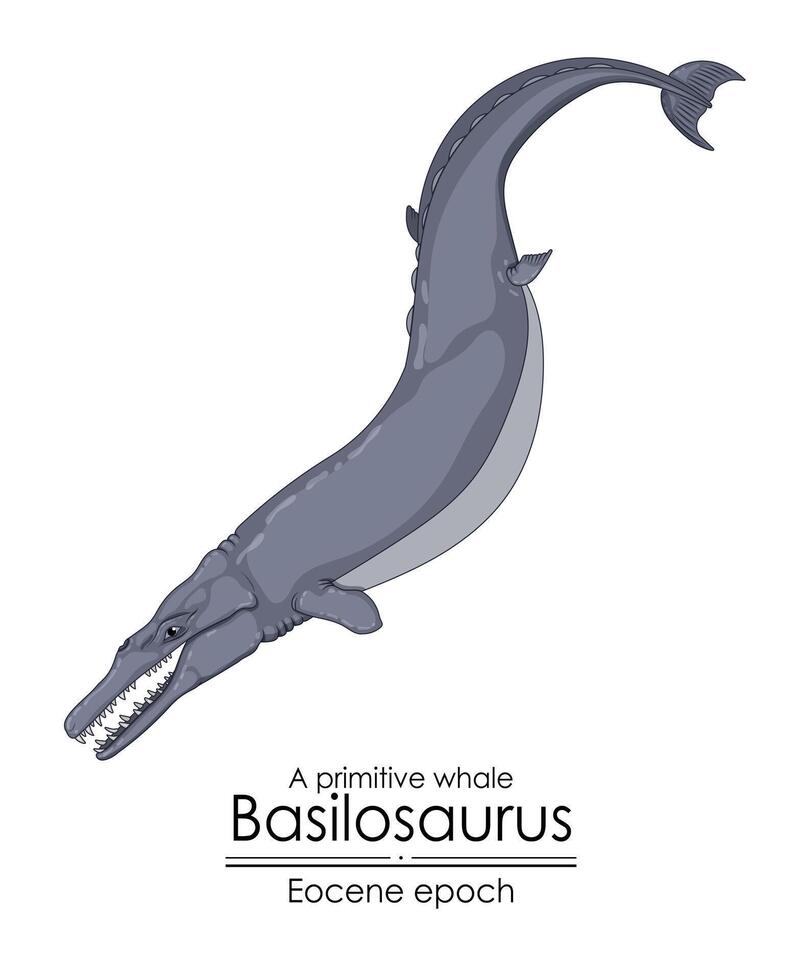 en primitiv val basilosaurus från eocen epok. vektor
