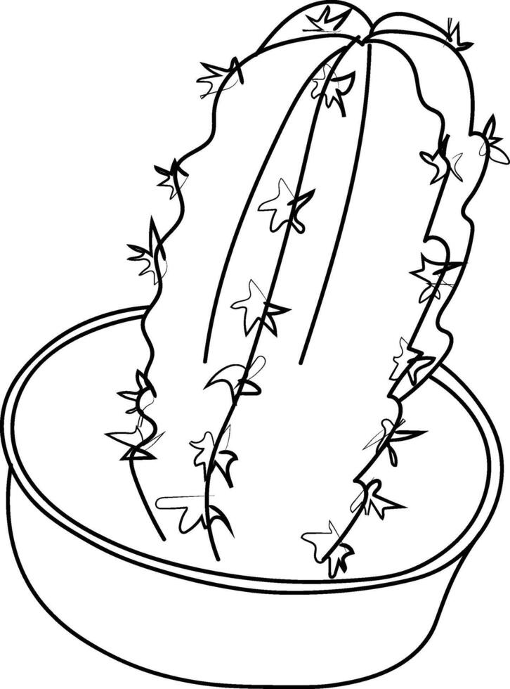 kaktus illustration, kaktus linje ritningar. kaktus tryckbar färg sidor, kaktus färg sidor för vuxna, kaktus och blomma färg sidor, kaktus planet ritningar vektor