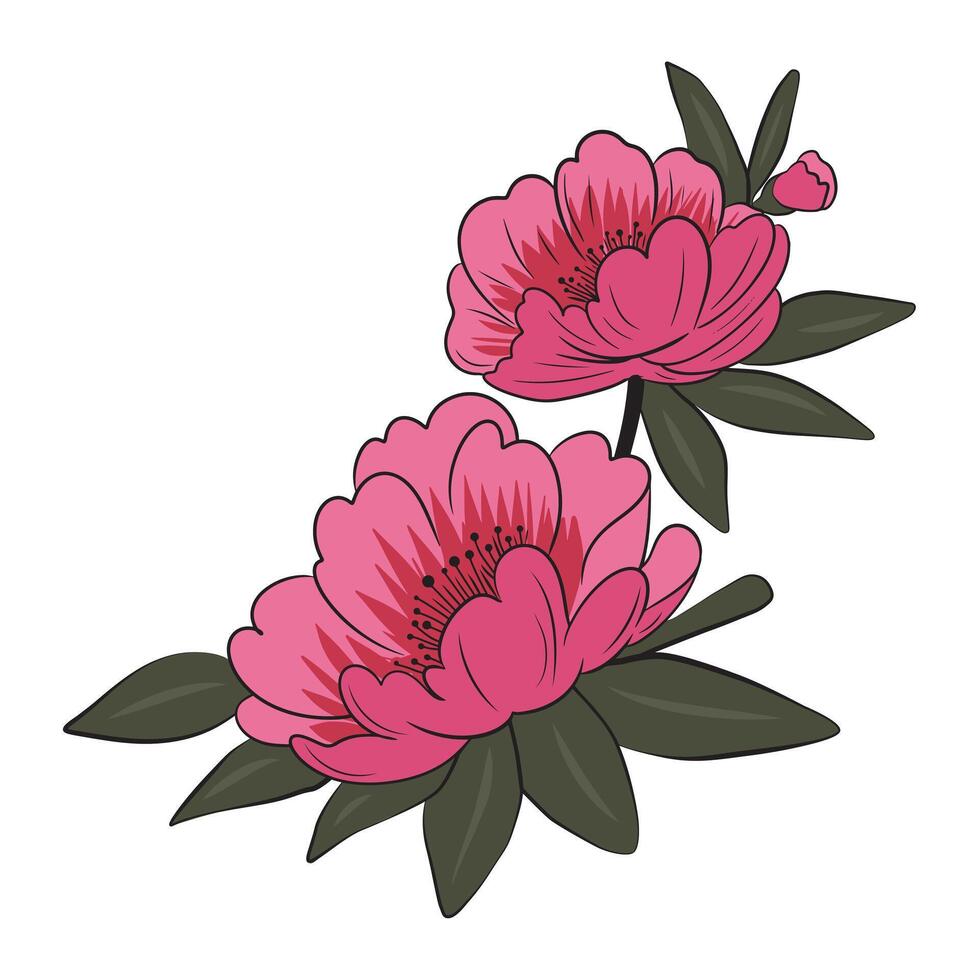 asiatisch Blumen Pfingstrose blühen im einfach Hand gezeichnet eben Vektor Stil. Blumen- Design Element isoliert auf Weiß Hintergrund
